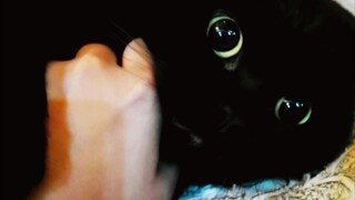 You want to be a little kitty who bites, Qian Suisui...?