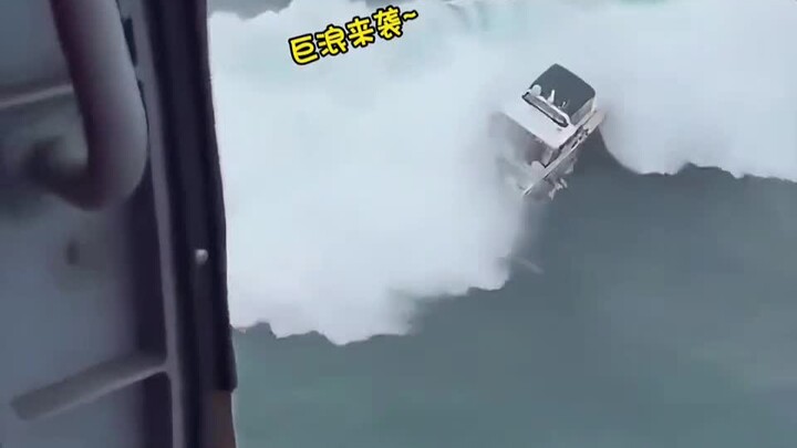 水母:在国内你叫我水母我不挑你理，出了国你叫我什么