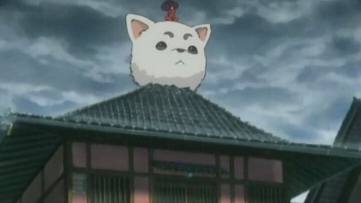 Gintama. Gigantic Dingchun!