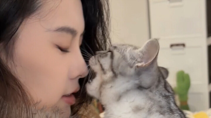 مين القط الصغير اللي بيلحس شعره لدرجة يطلع عينيه من الغضب؟