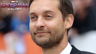 Spider-Man No Way Home Tobey Maguire CUT Scene Explained