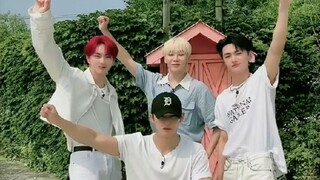【svt/enhypen】 تلك الرقصات التي رقصناها معًا