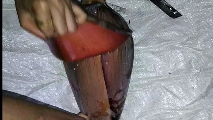 Tumis Jantung Pisang