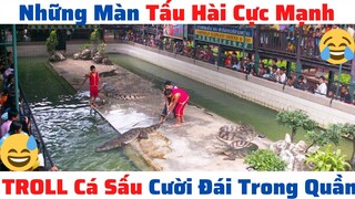 Những Đứa Con Thất Lạc Của Thần Biển #21 | Funny Video Tấu Hài Cười Đau Cả Ruột