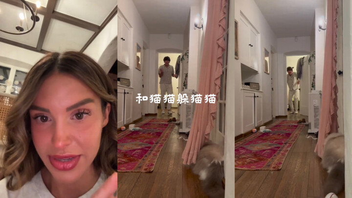 เมื่อแมวของคุณและพี่ชายของคุณ "เปิดศึก" กัน🤣🤣