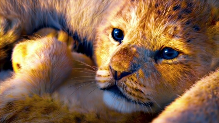 "Wherever the sun shines, it's my territory"
