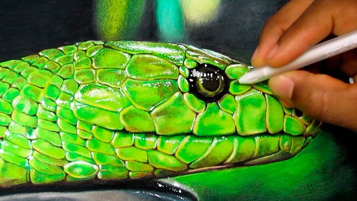 The snake drawn by a master painter is true to life