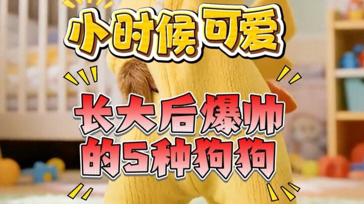 Xiaodou-ku: Imut waktu kecil, ganteng banget setelah dewasa