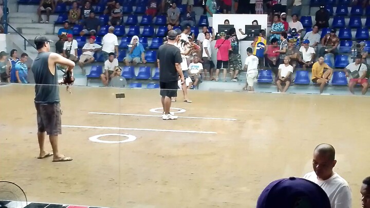 NEW MONTALBAN COCK FIT ARENA RIZAL🐓🐓🐓