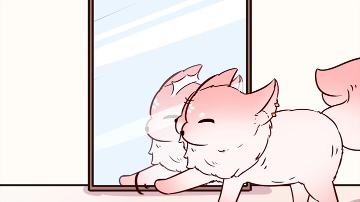 Little Fox's first day of losing weight!