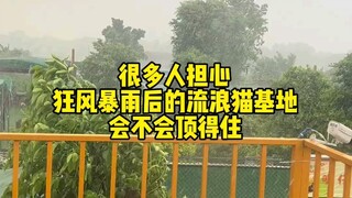 连续10天暴雨，基地是否顶得住？