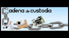 Lo básico de la custodia