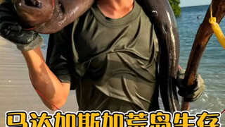 热呼呼的马达加斯加生存更新了，欢迎围观