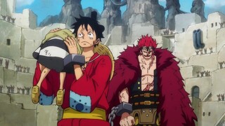 Luffy bị ăn chuỳ