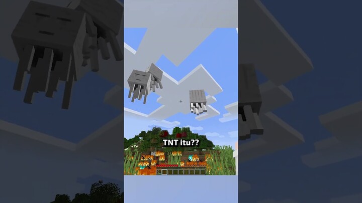 Aku Punya Banyak TNT Baru di Minecraft