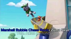 Paw patrol Musim 11 Episode 19A Sub Bahasa indonesia