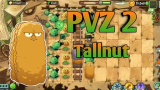 PVZ 2, Tallnut