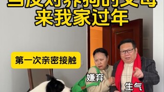 When my parents who are against keeping dogs come to my house for Chinese New Year