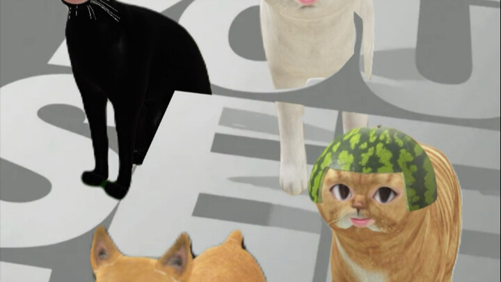 Setelah kucing kota kembali ke desa, mereka membentuk kelompok dan menjadi Geng Pencuri Meong yang M