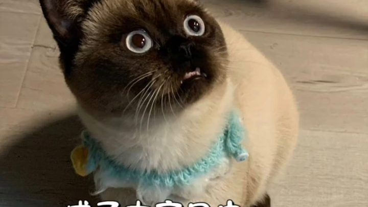 The doctor said it would turn black in winter, but I didn't take it seriously... until