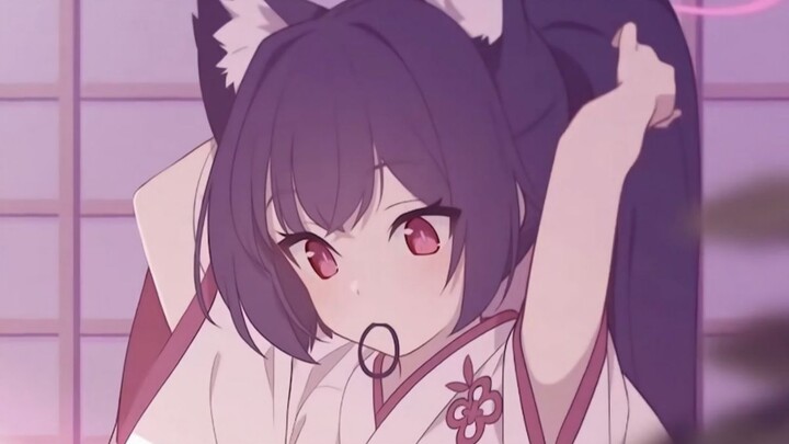 【Hình nền động】Chú mèo tsundere dễ thương—Kuromi Serika