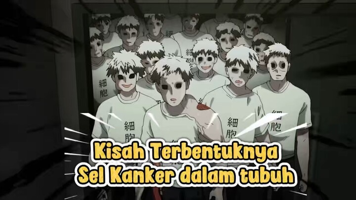 Rangkuman Anime Cells at Work eps 7!!