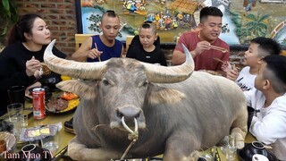 Thịt Trâu Đủ Món - Cười Há Mồm Với Món Sẹo Trâu Sào Khế Của Mao Đệ Đệ