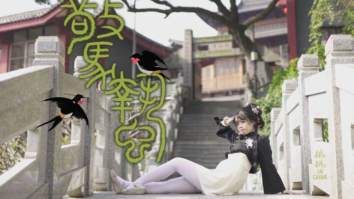 【Taotao】Awakening of Zhe【Original Choreography】Whose little swallow has become a spirit!!!