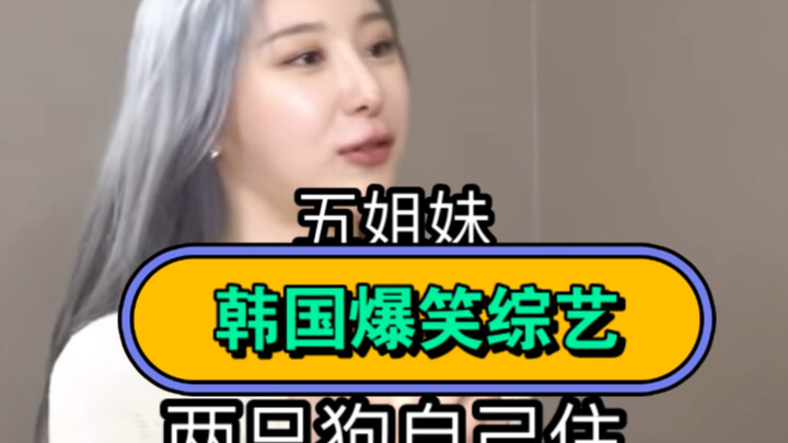 برنامج تناول الطعام الكوري: كلبان يعيشان وحدهما؟ محتوى مترجم مسبقًا!