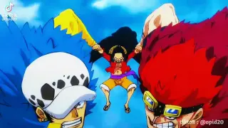 One piece Characters saying their NAME