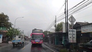 Ngoyod Bus Basuri Cortas