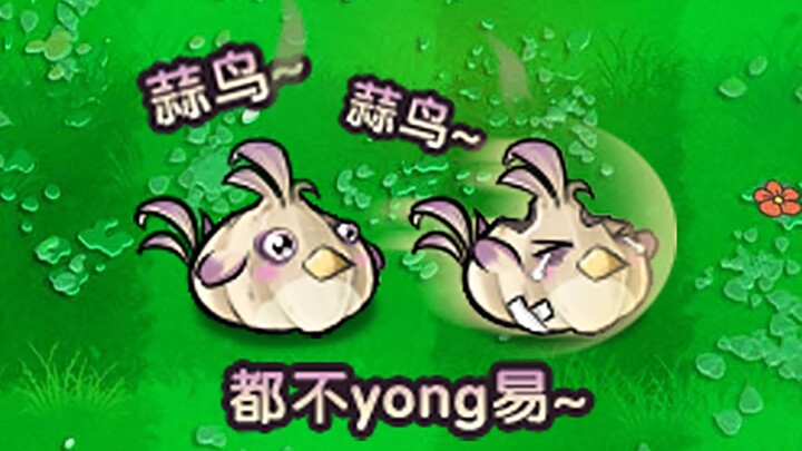 New Plant: Garlic Bird