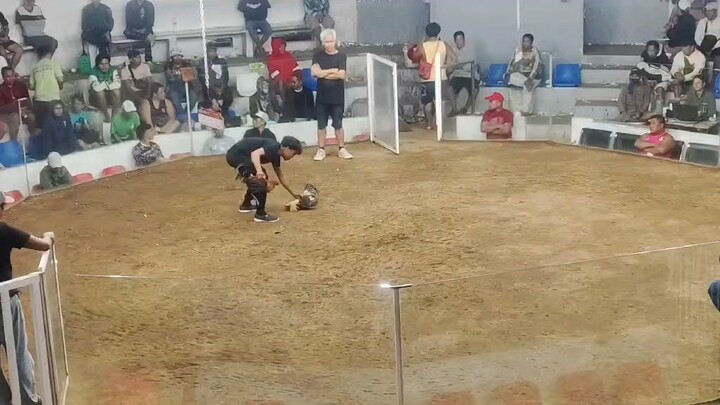 eto po ung 2nd fight ko sa igay cockpit Nung march 14 2hits ulutan