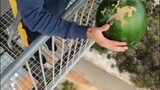 Semangka dijatuhkan dari atas jembatan tidak hancur