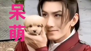 曾舜晞说肖顺尧比狗还傻，童言无忌童言无忌，哈哈