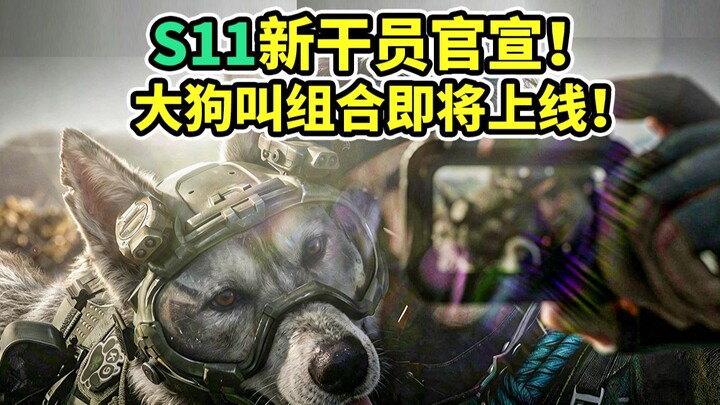 เปิดตัวเจ้าหน้าที่ใหม่ S11 แล้ว! หมาใหญ่เรียกจริงมาแล้ว! 【Delta Force】