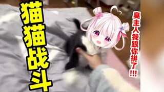 猫猫被指了也是会战斗的！！！