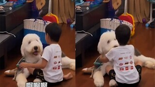 萌娃被妈妈凶后找狗狗，抱着它大哭发泄求安慰，狗狗表情网友笑喷