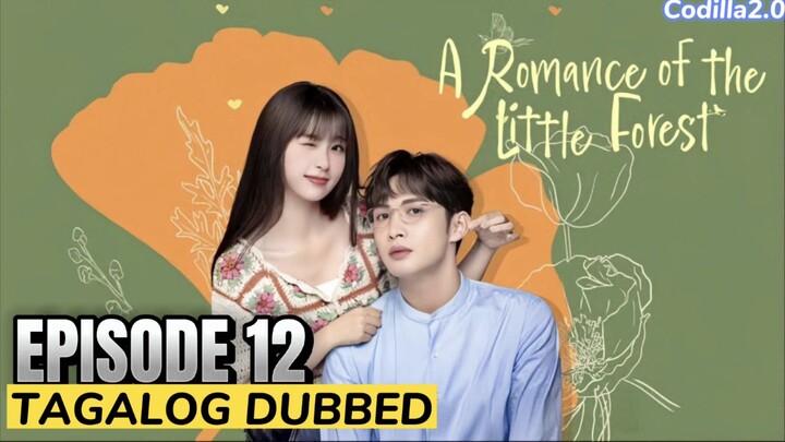 ᗩ ᖇOᗰᗩᑎᑕE Oᖴ TᕼE Little Forest 2022 Episode 12 Tagalog Dubbed HD