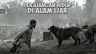 Kisah Pria Yang Berjuang Melawan Hewan Liar❗ | Alur Cerita Film