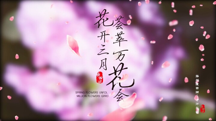 【信步瘦西湖】万花会（江苏有线JSCN）Take a Leisurely Walk on the Slender West Lake- Flower Exhibition