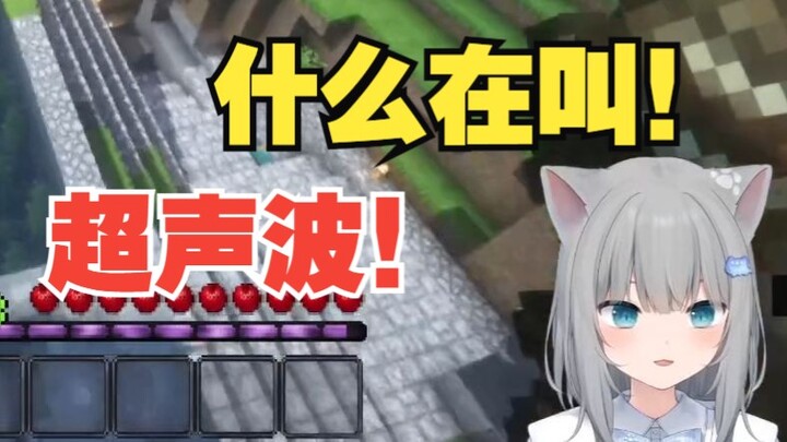 甘城猫猫跳台阶..她没事，但人！你的耳朵！