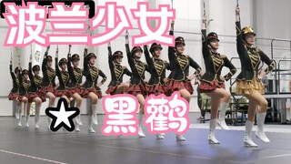 波兰少女★黑鹳