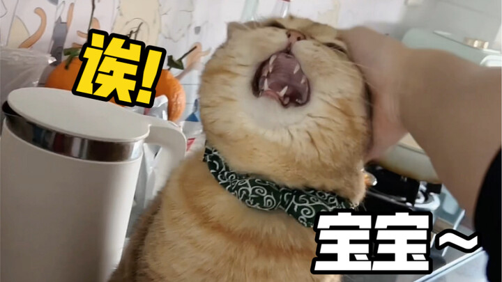 Aku juga nggak mau ngeong-ngeong, tapi dia panggil aku sayang!