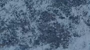 หญิงสาวเกิดใหม่พร้อมพลังเทพ