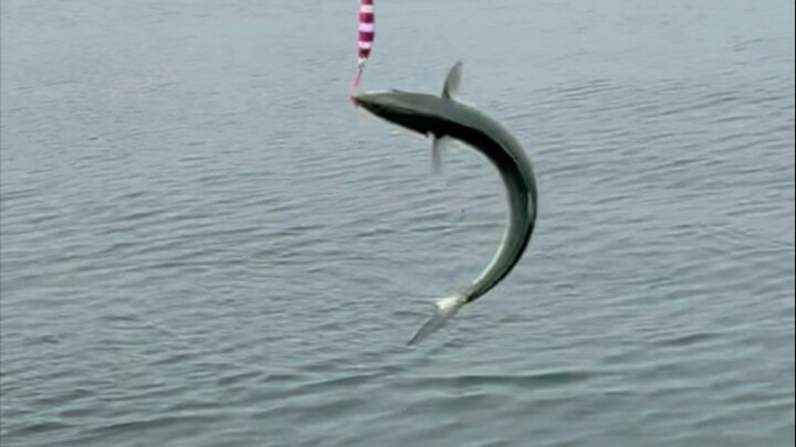 ถ้าขยันก็จะชนะ (ที่ฉันตกได้