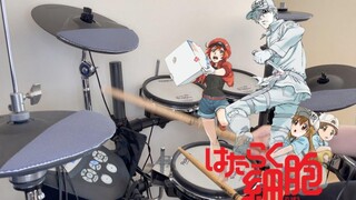 Hataraku Saibou Season 2 ED-"Fight !!" คัฟเวอร์กลอง ClariS Cells at Work 2 Cells at Work!
