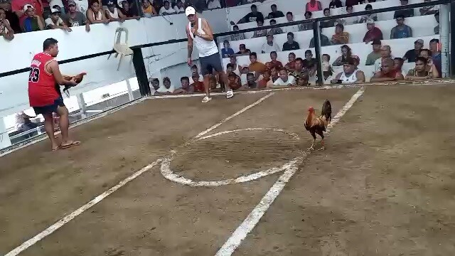 Dan gray roundhead (JMV GAMEYARD)