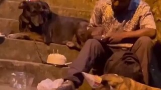 Trên đường phố Colombia, một người đàn ông vô gia cư đang tổ chức sinh nhật cho chú chó của mình.