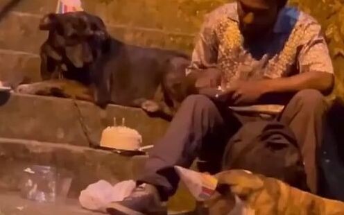On the streets of Colombia, a homeless man celebrated his dog's birthday.